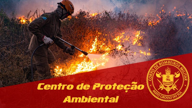 Reprodução/Bombeiros - MS
