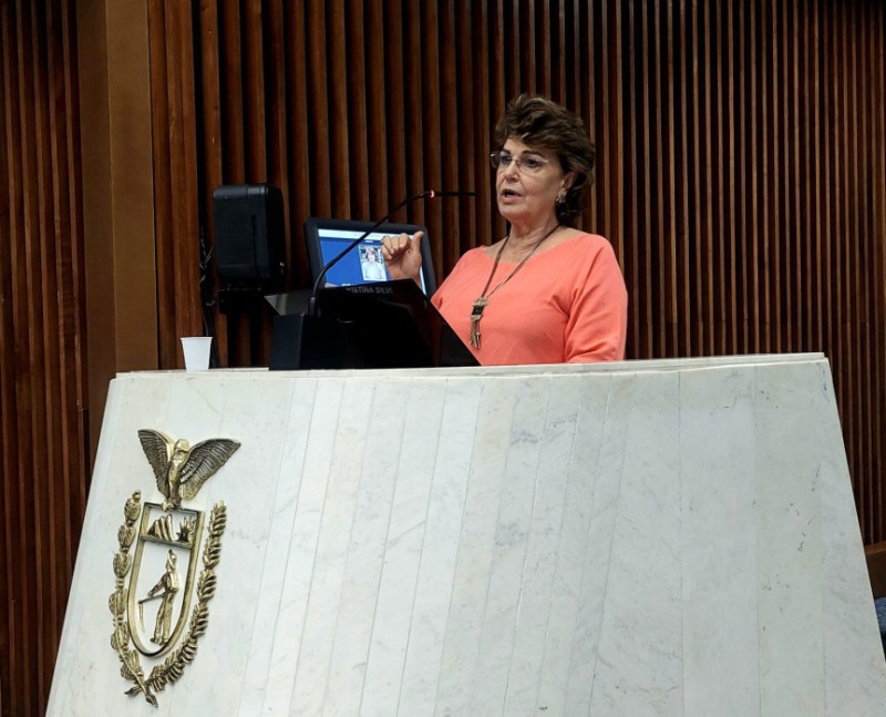 Para marcar as mobilizações deste ano, a Procuradoria Especial da Mulher da Assembleia Legislativa do Paraná (Alep) atua com medidas de alcance federal, estadual e municipal. / Créditos: Gabriela Siqueira