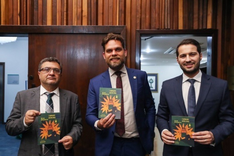 Assembleia Legislativa vota nesta terça (06) o projeto de lei da Cannabis Medicinal. / Créditos: Dálie Felberg/Alep