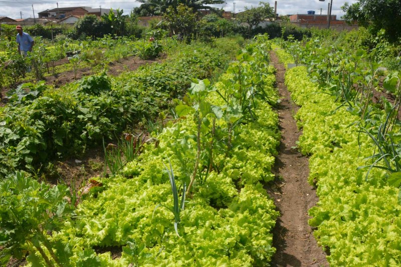 Foto: Reprodução/Prefeitura Mun. Vitória da Conquista - BA