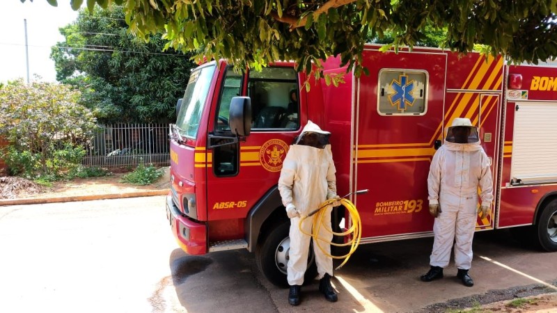 Reprodução/Bombeiros - MS