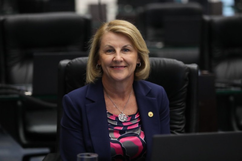 Deputada é vice-presidente na comissão de Saúde e de Assuntos Metropolitanos, titular na de Defesa dos Direitos da Mulher e na do Idoso, além de suplente na CCJ, no Orçamento, nos Direitos Humanos e na Criança. / Créditos: Orlando Kissner/Alep