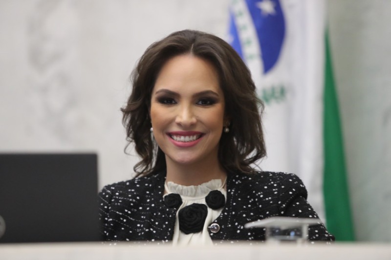 “Queremos trabalhar junto ao Governo do Estado e ao setor produtivo na construção de uma legislação moderna e eficiente, que coloque o Paraná no protagonismo das pesquisas e das aplicações do hidrogênio renovável”, afirma Maria Victoria. / Créditos: Orlan