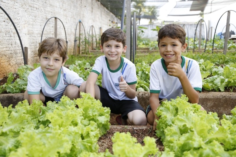 (Foto: Ascom Prefeitura/ Arquivo)