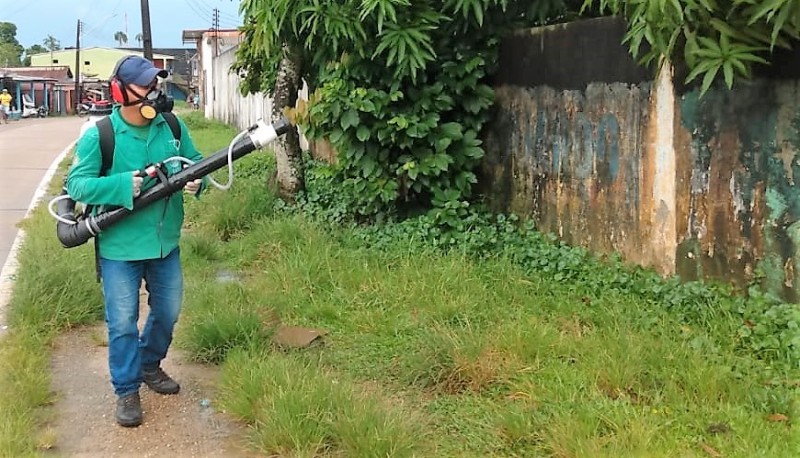 Sa&uacute;de intensifica monitoramento da dengue em munic&iacute;pios do Amazonas