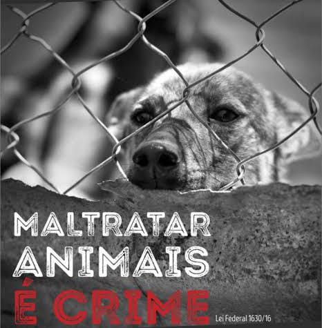 Foto: Reprodução/Polícia Civil - MS
