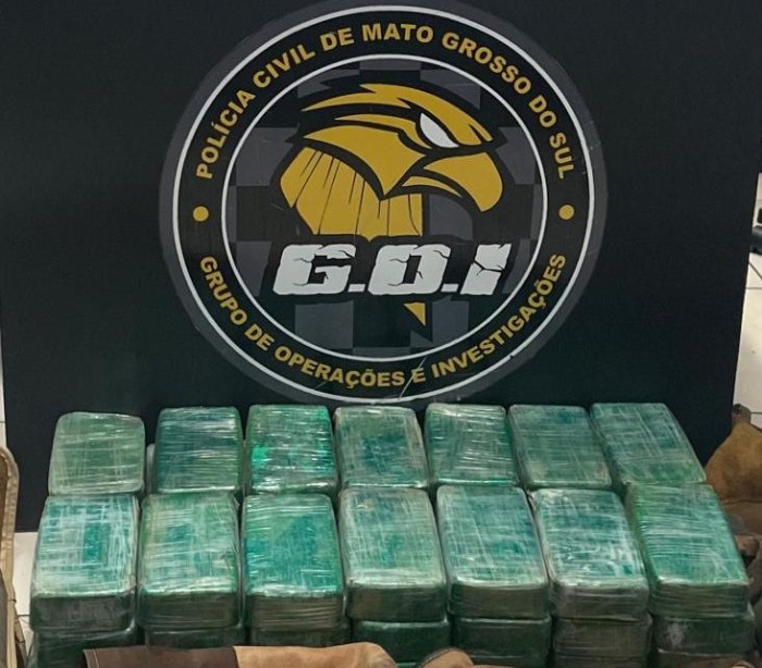 Foto: Reprodução/Polícia Civil - MS