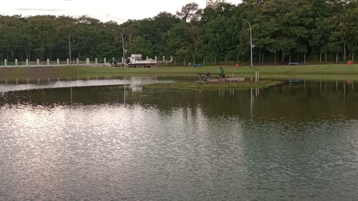 (Foto: Divulgação)
