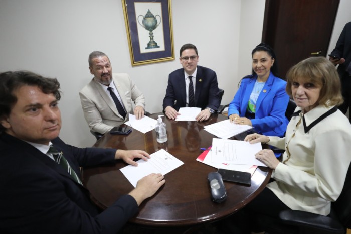 No encontro, o grupo de trabalho deliberou sobre dois projetos de lei. / Créditos: Orlando Kissner/Alep