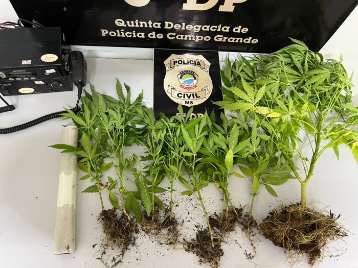 Foto: Reprodução/Polícia Civil - MS