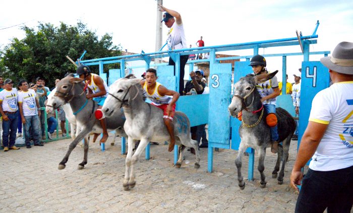 Projeto do deputado Michel Henrique reconhece Corrida de Jegue de Zabelê como patrimônio cultural, histórico e imaterial da Paraíba