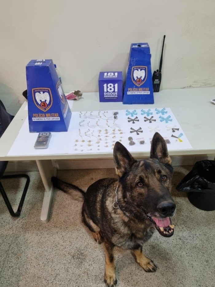 Foto: Reprodução/Polícia Militar - ES
