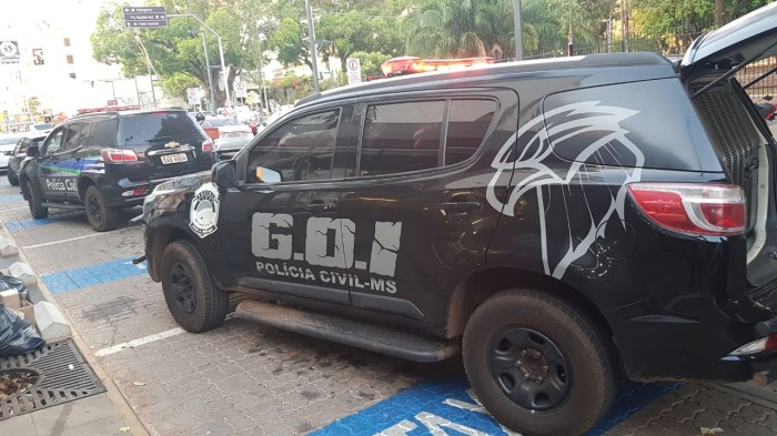 Foto: Reprodução/Polícia Civil - MS