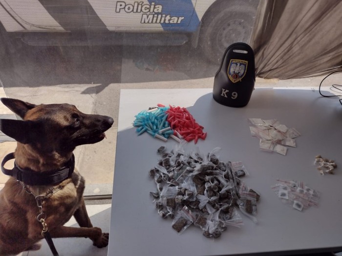 Foto: Reprodução/Polícia Militar - ES