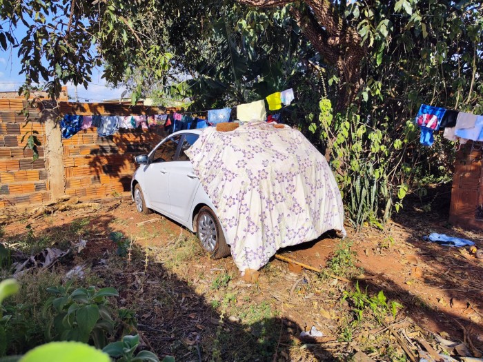 Foto: Reprodução/Polícia Civil - MS