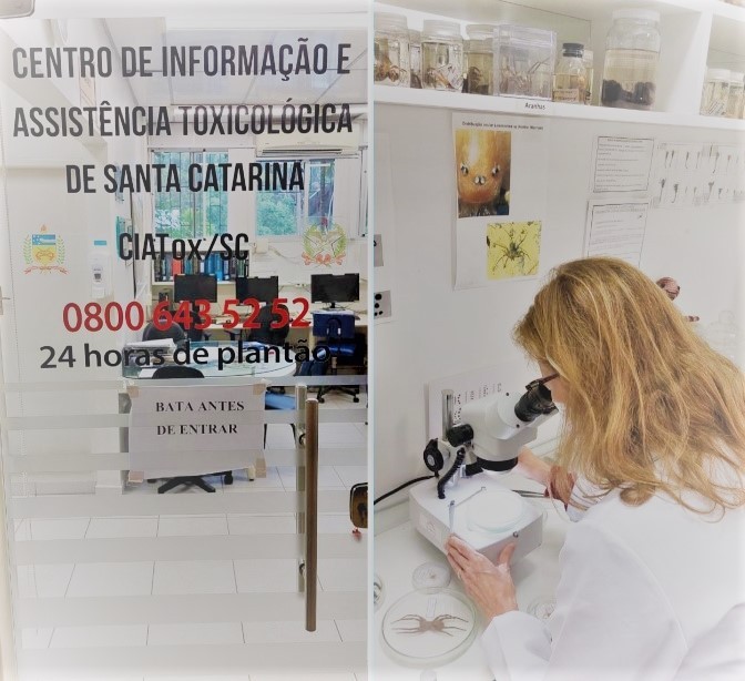 Foto: Reprodução/Secom SC