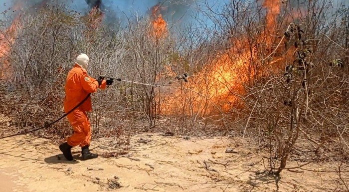 Foto: Reprodução/Secom Piauí