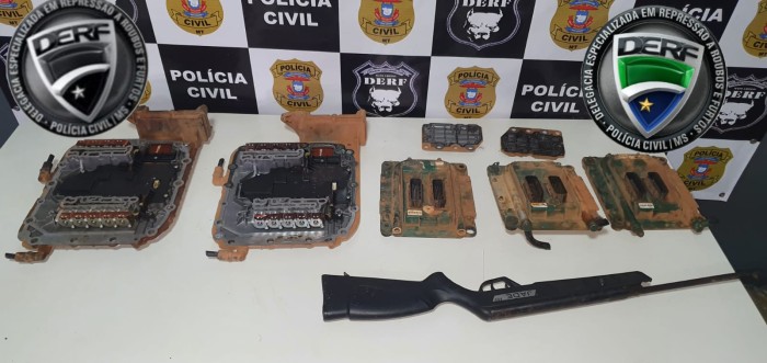 Foto: Reprodução/Polícia Civil - MS