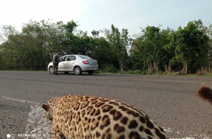 Em um mês, Polícia Militar atendeu 674 chamados por perturbação do sossego  no Litoral