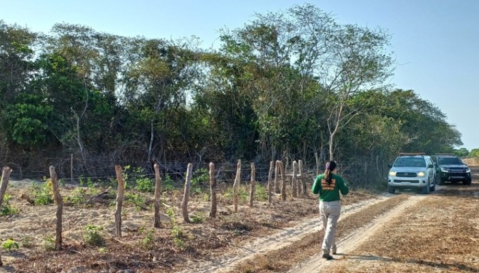Foto: Reprodução/Secom Ceará
