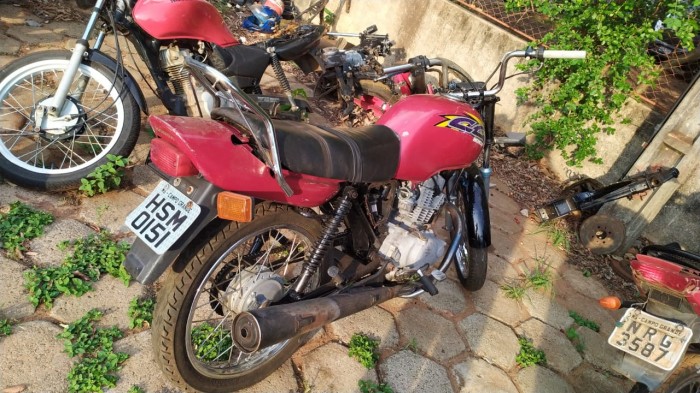 Foto: Reprodução/Polícia Civil - MS